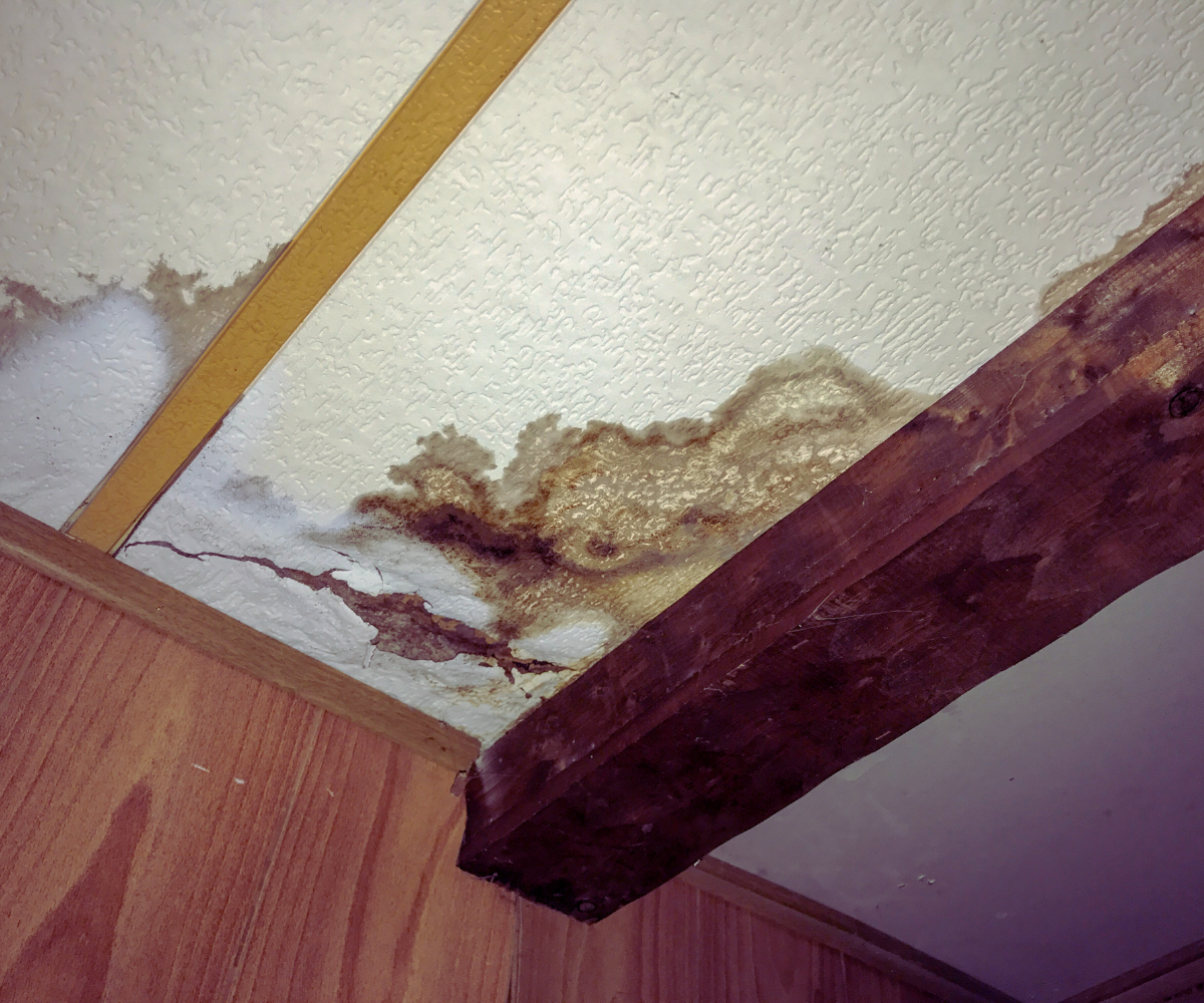 mold damage caused by a hidden leak